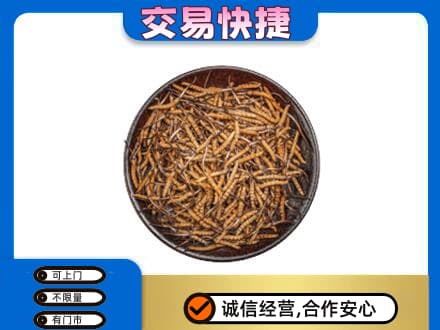 阜阳市界首礼品回收虫草.jpg